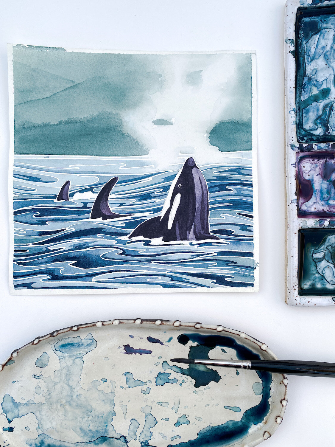 Encounters With Orca